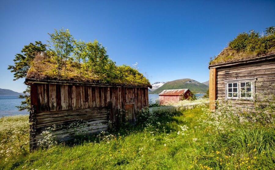 Tromsø: Summer Fjord Road Trip with Citizen Science - Who This Tour Fits Best (and Who Might Want Something Else)