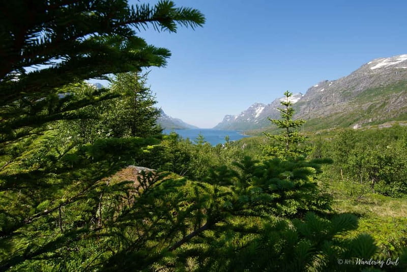 Tromsø: Summer Fjord Road Trip with Citizen Science - Weather, Shoes, and Toilet Reality in Coastal Tromsø