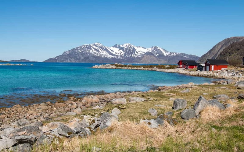 Tromsø: Summer Fjord Road Trip with Citizen Science - Price and Value: What $142 Buys You in Real Terms