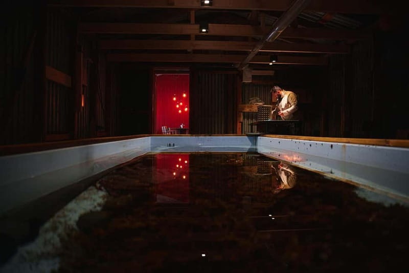 Tromsø: Tasty King Crab Adventure - Live crabs in a saltwater aquarium, then steaming on site