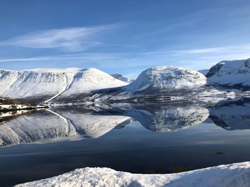Tromsø Whale Safari with MS Gabriele - What you might see: orcas, humpbacks, and other winter visitors