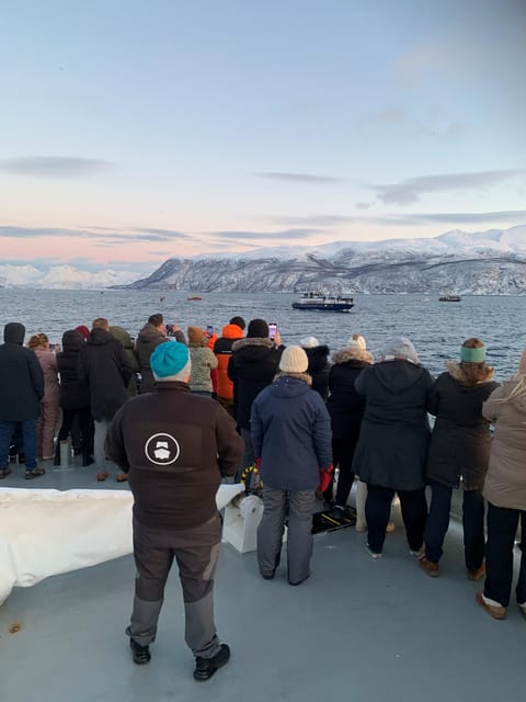 Tromsø Whale Safari with MS Keiser Wilhelm - Price and Value: Is This Tromsø Whale Safari Worth $194?