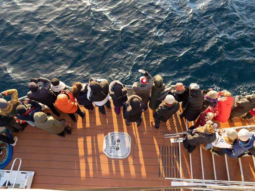 Tromsø: Whale Watching Tour by Hybrid-Electric Boat - Spotting Fin, Sperm, Humpback, and Orcas with Expert Guidance