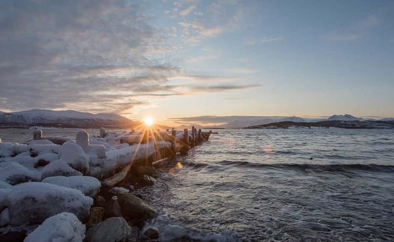 Tromsø: Winter Fjord Road Trip with Citizen Science - Key highlights you will actually feel