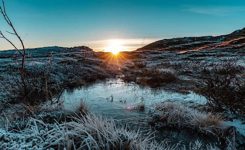 Tromsø: Winter Fjord Road Trip with Citizen Science - The Photo Plan: camera help plus souvenir pictures by email