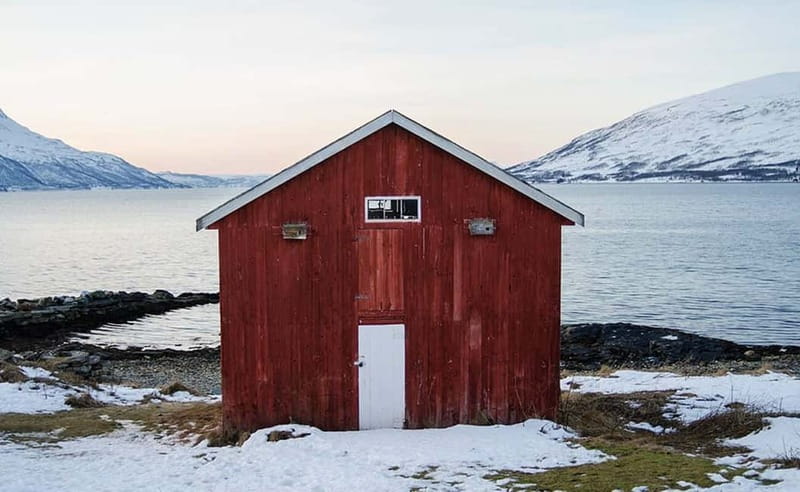 Tromsø: Winter Fjord Road Trip with Citizen Science - Citizen Science in the Cold: what you do and why it matters