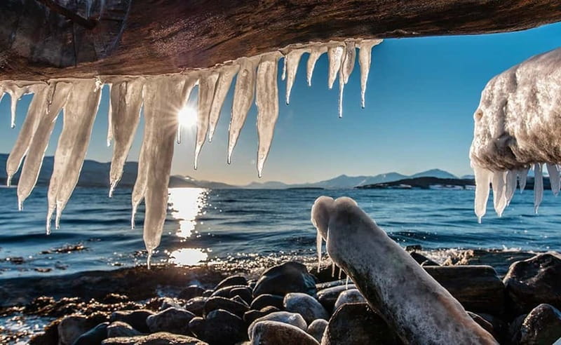 Tromsø: Winter Fjord Road Trip with Citizen Science - The Warm Picnic: homemade vegetarian and vegan food in Arctic weather