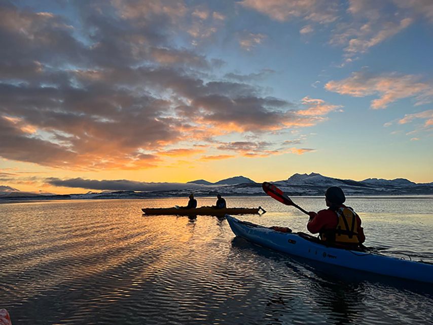 Tromsø: Winter Sea Kayaking Tour with Wildlife Sightings - Why Winter Sea Kayaking Around Tromsø Feels So Different