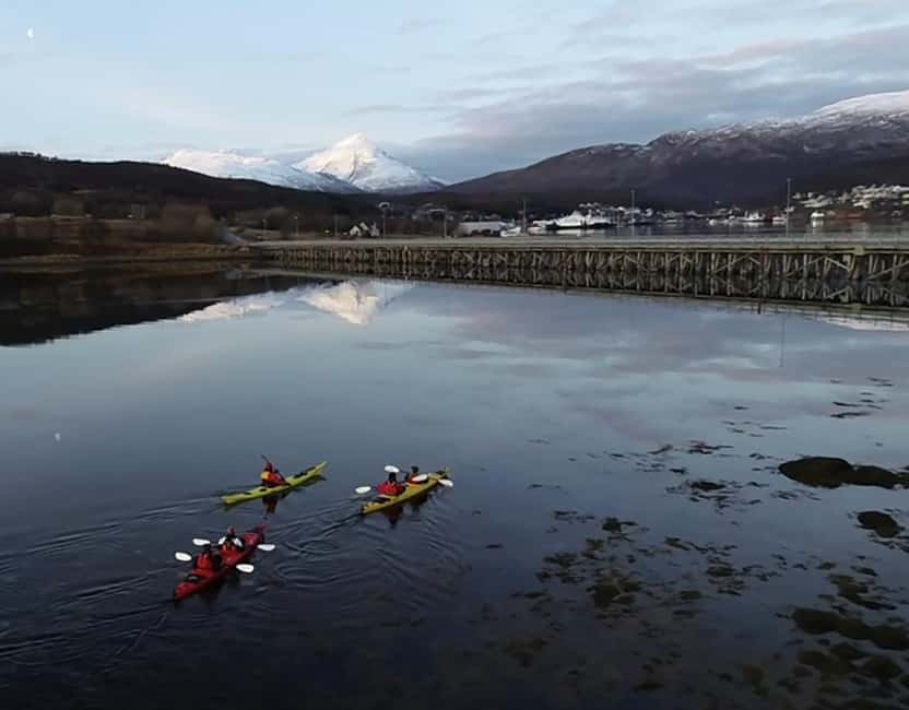 Tromsø: Winter Sea Kayaking Tour with Wildlife Sightings - The Fire, Hot Beverages, Snacks, and Why This Stop Is Part of the Experience