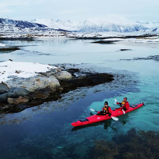 Tromsø: Winter Sea Kayaking Tour with Wildlife Sightings - What to Bring for Cold-Weather Kayaking (So You Enjoy It)