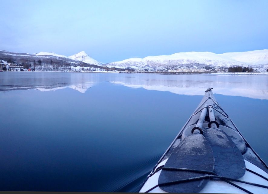 Tromsø: Winter Sea Kayaking Tour with Wildlife Sightings - Drysuits, Safety Briefing, and How You Stay Warm Without Overthinking It