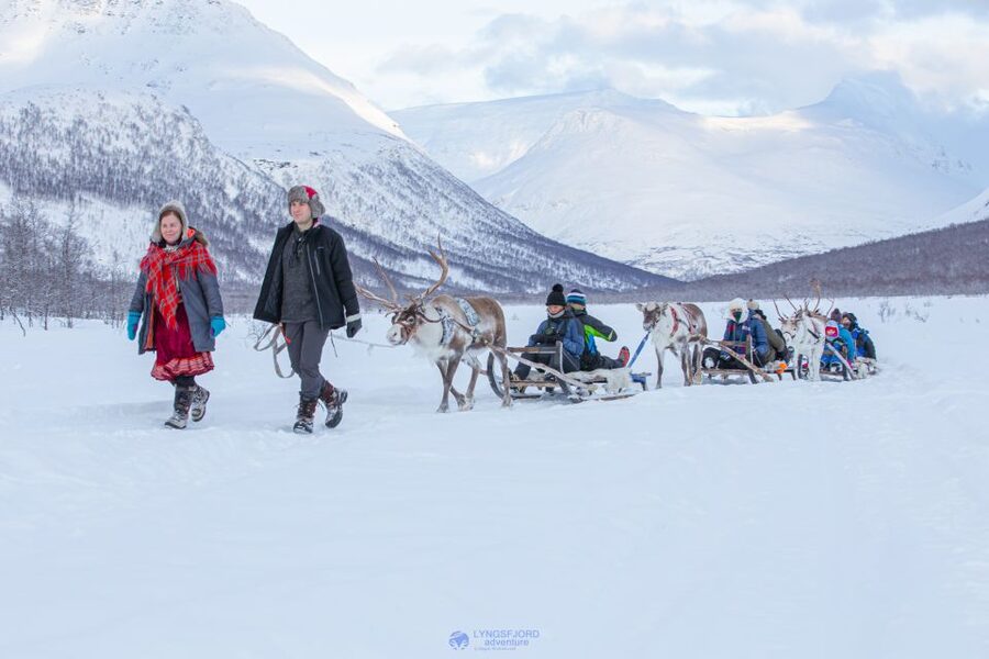 True Locals of the Arctic: Reindeer Sledding at Camp Tamok - Quick hits for your Camp Tamok day