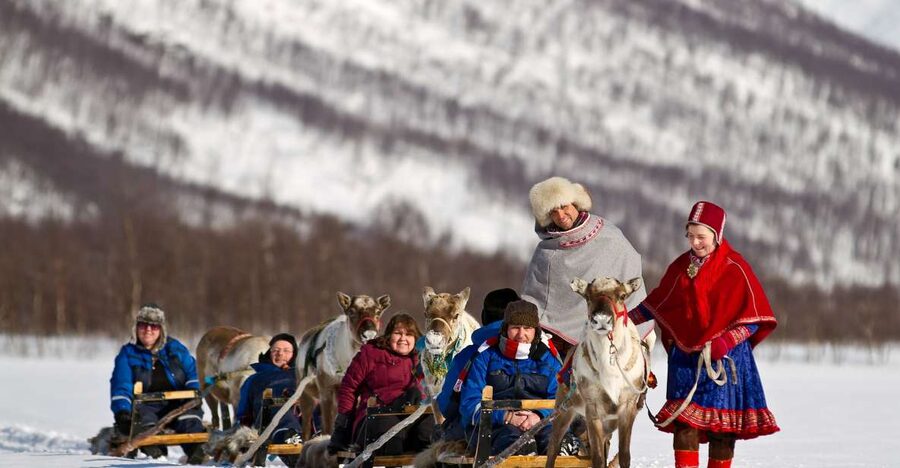 True Locals of the Arctic: Reindeer Sledding at Camp Tamok - Reindeer sledding at a gentle pace, up close with about 5 to 6 reindeer
