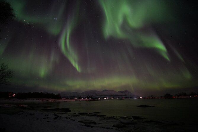 Watching The Aurora Dance - Your guide’s role: more than finding lights