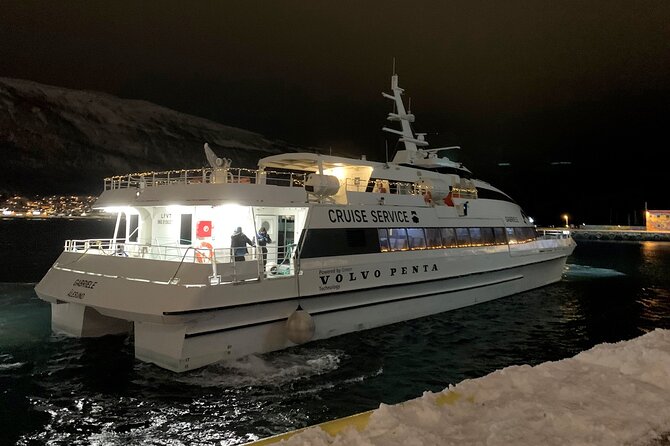 Whale Safari in Tromso - The 9:00 am catamaran day, from Nerstrandkaia to return