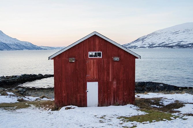 Winter Fjord Road Trip with Wandering Owl - Winter fjords without the big-day hassle