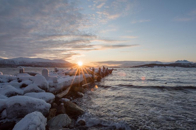 Winter Fjord Road Trip with Wandering Owl - Stop at Grotfjord: a fjord break with a photo window