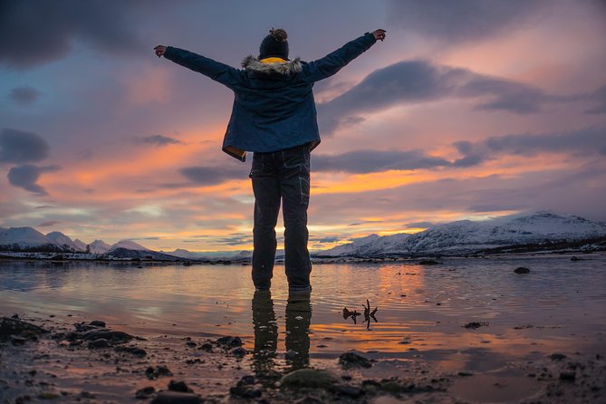 Winter Fjord Road Trip with Wandering Owl - Stop at Ersfjordbotn: where Northern Norway gets serious