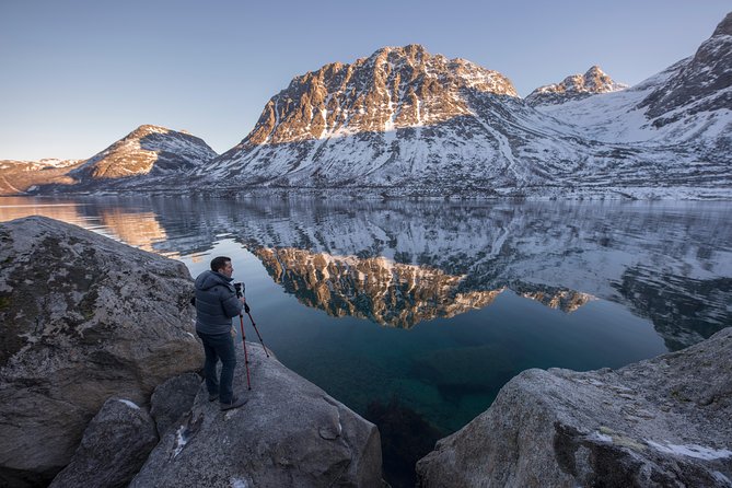 Winter Fjord Road Trip with Wandering Owl - Wildlife study vibe: reindeer spotting and Arctic learning moments