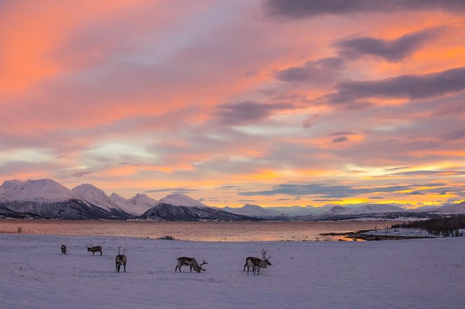 Winter Fjord Road Trip with Wandering Owl - The photo souvenir system, and why it matters in winter